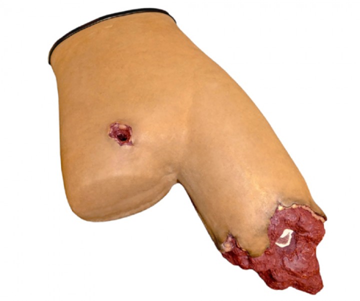 Trenażer tamowania krwotoku – miednica (Techline - B-CON Trainer™)